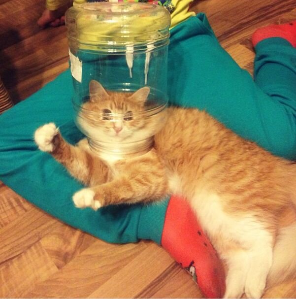 - БЛИН, ЗАБАНИЛИ...