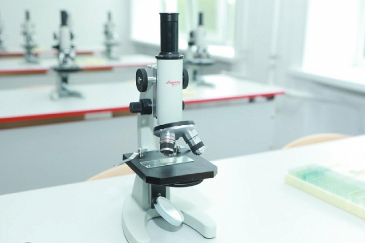    Проекты Нижегородского научно-образовательного центра ждут грантов