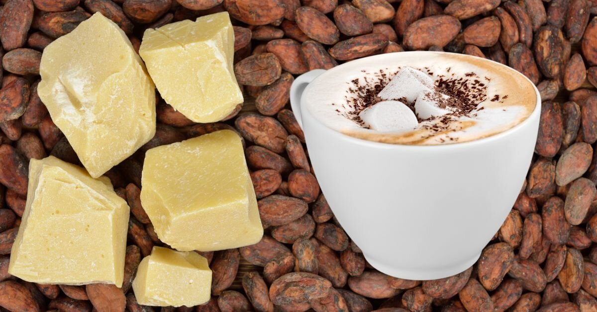 Как правильно приготовить какао с молоком