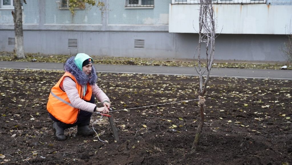    Более 800 новых саженцев: В Оренбурге заканчивают осеннюю посадку кустарников и деревьев