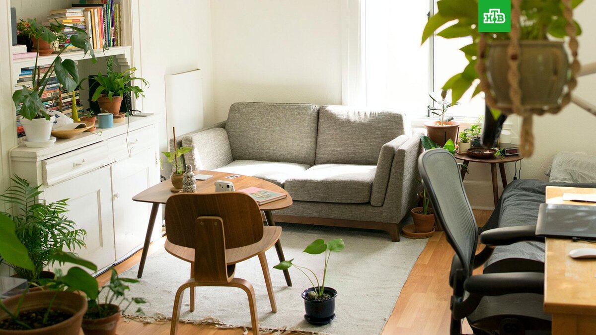    Фото: unsplash.com