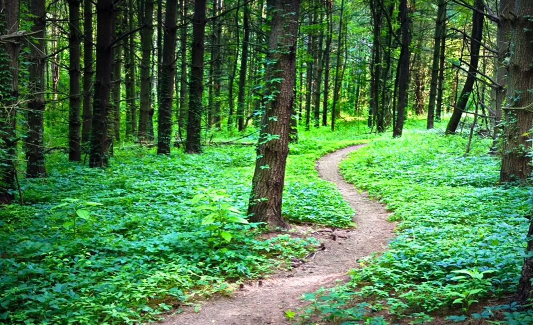 фото яндекс