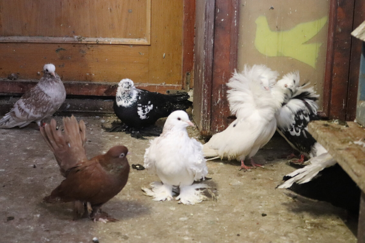 фото автора Елены М.