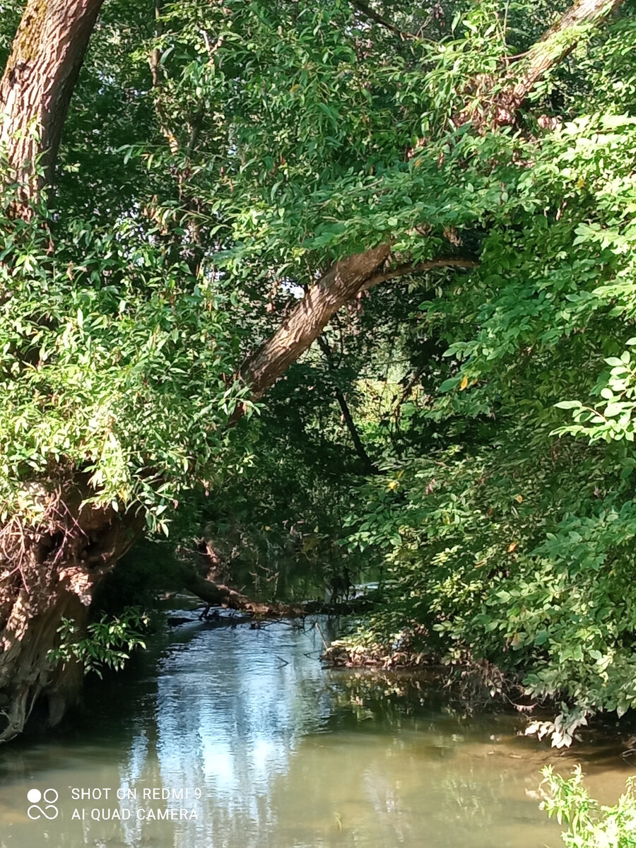 Берег Горетовки, за который я и сражаюсь