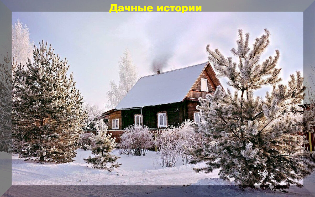 https://vk.com/photo-159774511_457257057