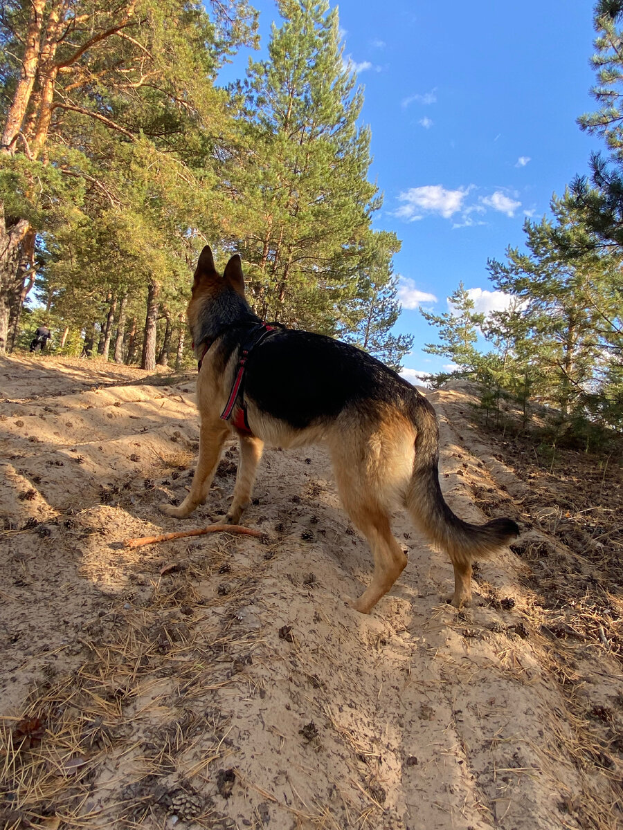 Альба в ожидании поездки на море!
