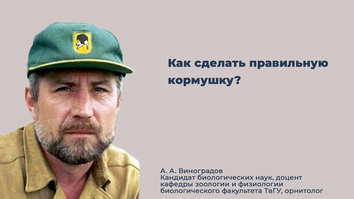 Чем нельзя кормить птиц зимой в кормушке. Советские плакаты детские. Советские плакаты про ясли. Яслей как правильно. Адаптация детей раннего возраста к условиям доу.