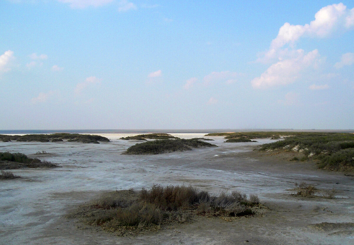 Фото автора.