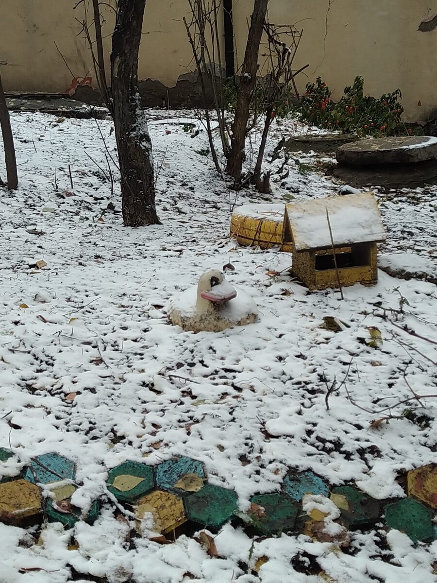 Лишний вес помешал)))