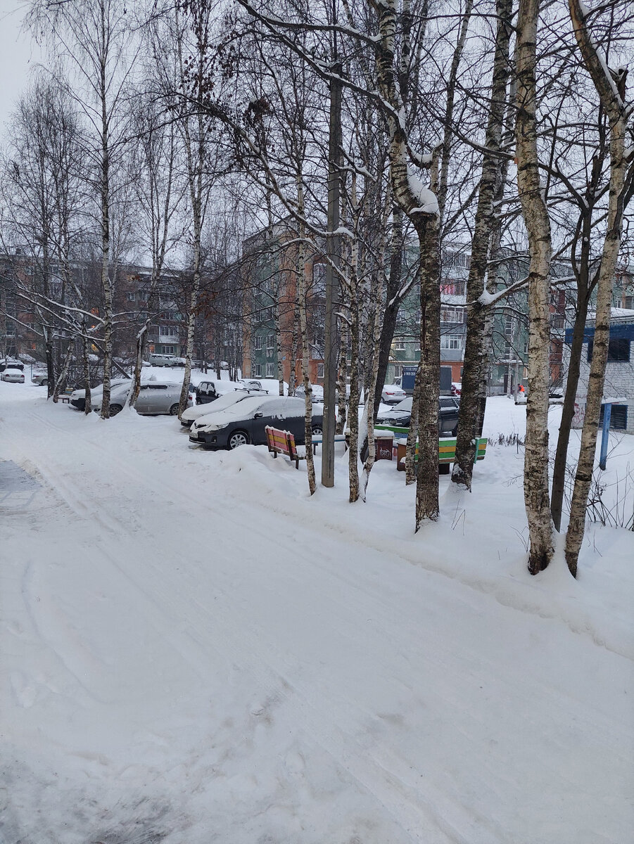 Во дворе дома.