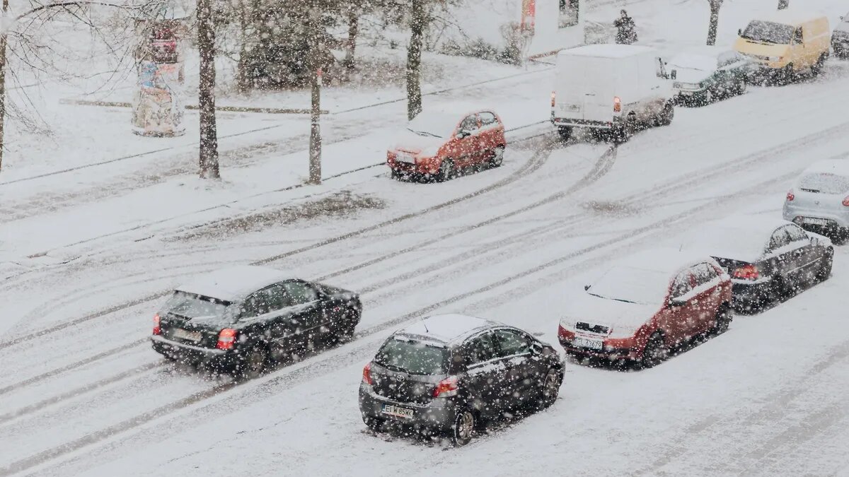 Праздники, что будут 12-18 декабря. Фото: www.piqsels.com