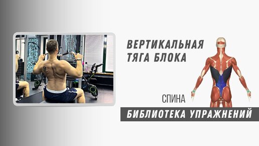 Тяга верхнего блока. Техника выполнения. Упражнение на ширину спины.