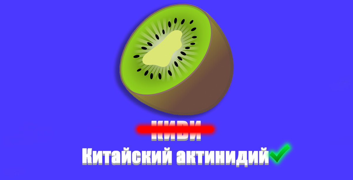 Не киви, а Китайский актинидий