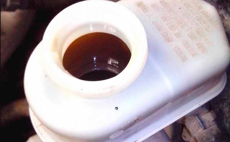 Фото с сайта Ланосовод,ру