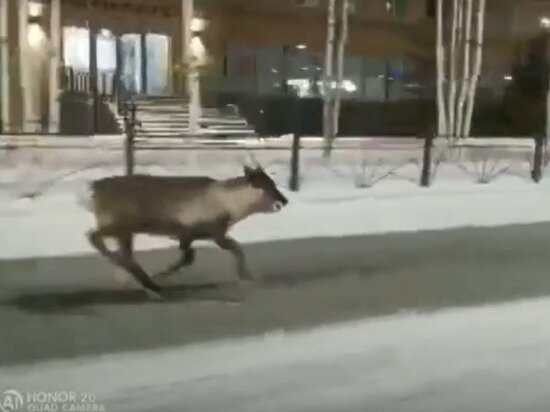     Фото: vk.com Марина Трескова