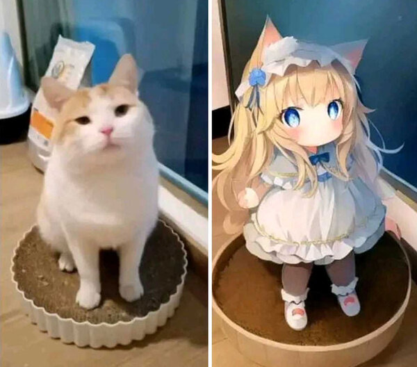 Фото © TikTok / miu_23.6