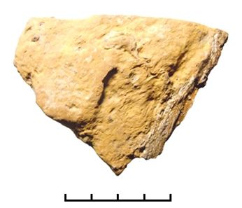 Поселение Жирная Поляна, 2000 г.