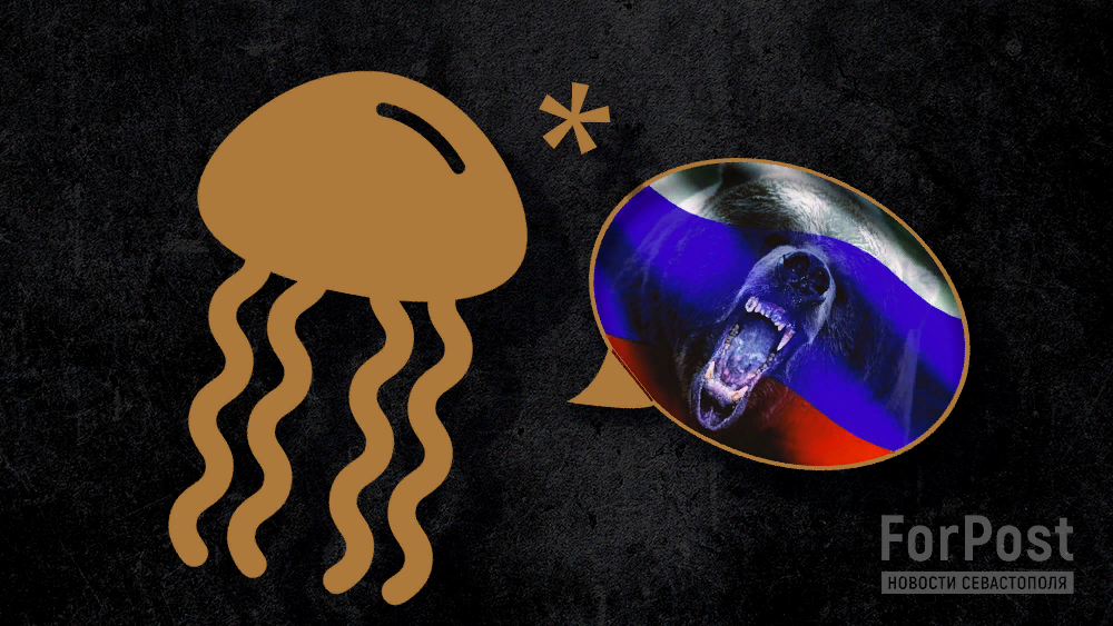 Медуза cyanea lamarckii. Трахилиды медузы. Медуза cyanea lamarckii. Медуза-волнолов. Медузный кварц.