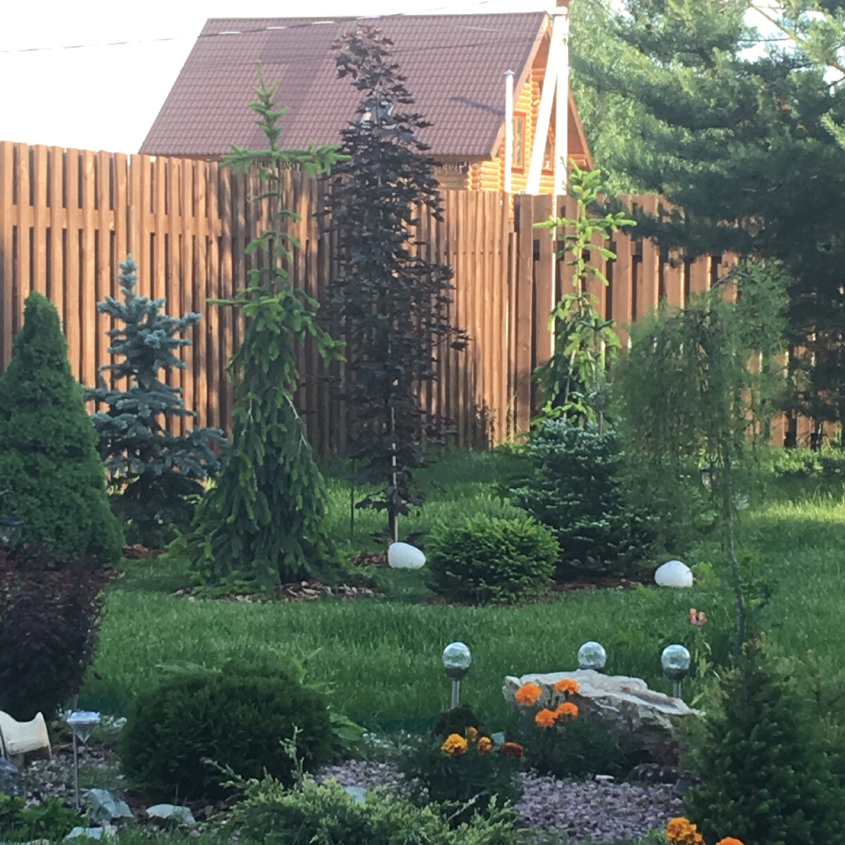 На второй год после посадки 2018