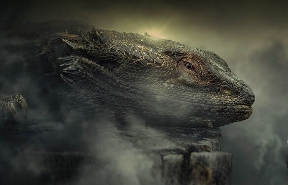 Черноморский водный змей озирает свои владения с прибрежной скалы. Изображение из открытого источника. Pixabay