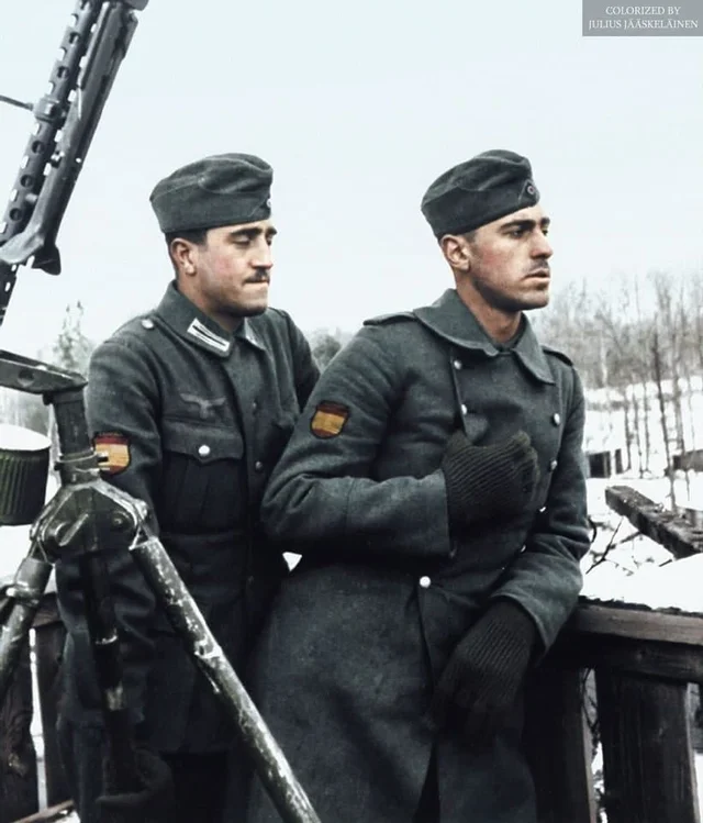 Голубая дивизия испания