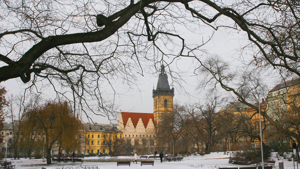    Чехия© РИА Новости . Игорь Зарембо