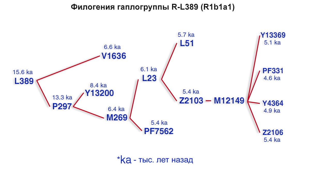 От Кавказа до Европы – генетическая история и индоевропейские языки