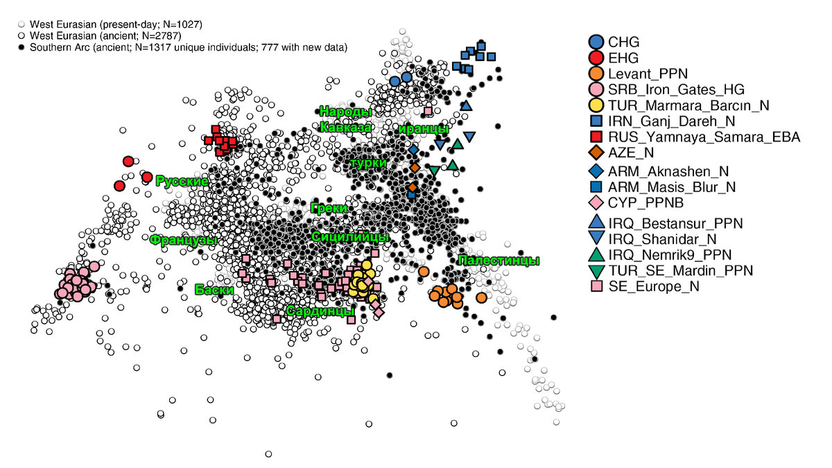 От Кавказа до Европы – генетическая история и индоевропейские языки