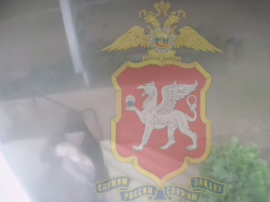     Фото: кадр из видео пресс-службы МВД по РК / 82.мвд.рф