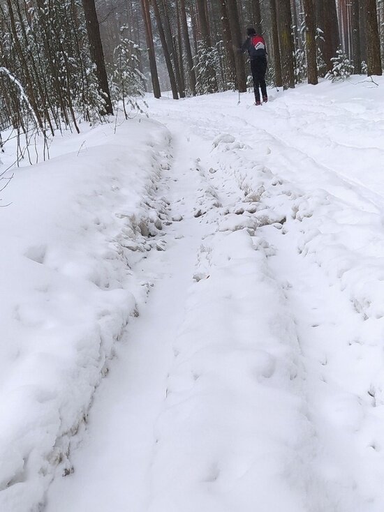     Фото: Lala Morozova/News69