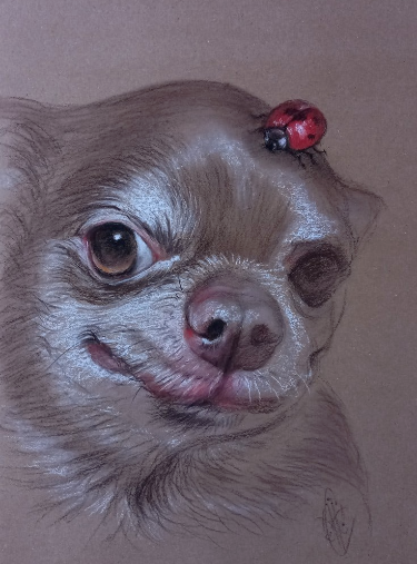 Источник изображения: https://vk.com/id5973829