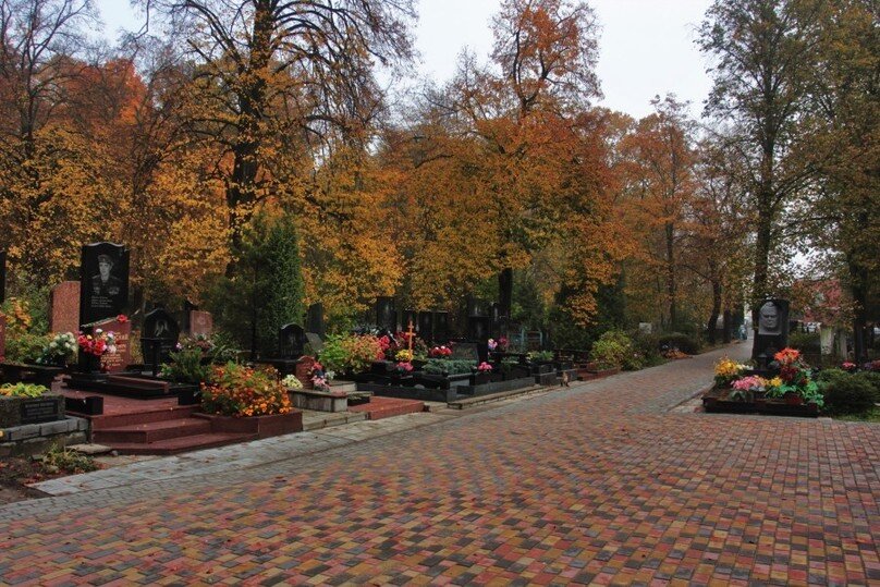 Фото из открытых ресурсов интернета