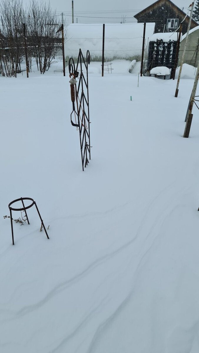 Огород зимой. Листаем вправо
