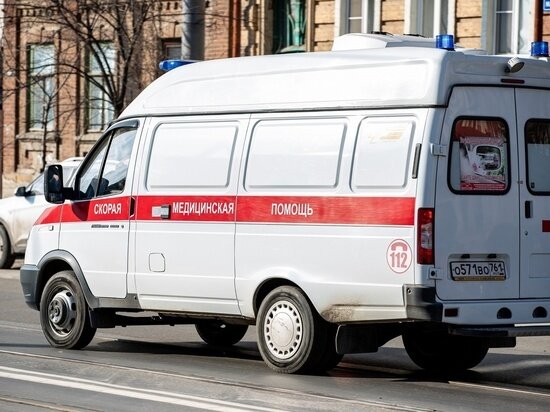     Фото: МК на Дону