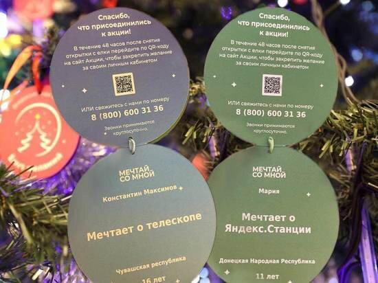     Фото: Телеграм-канал Олега Николаева