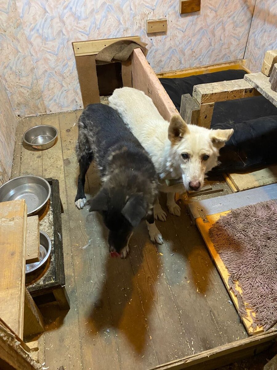 Зимний домик