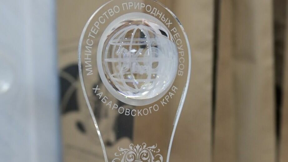     В этом году победителей главного экологического конкурса региона определили в восьми номинациях. 11 городских округов и муниципальных районов края прислали 44 заявки. В число победителей вошли