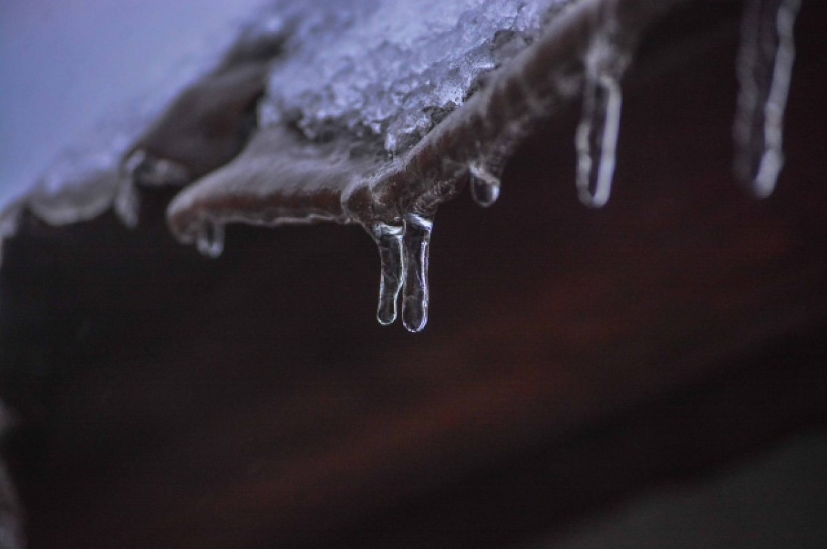    С бизнес-центра в Петербурге наледь упала на голову пожилой женщине