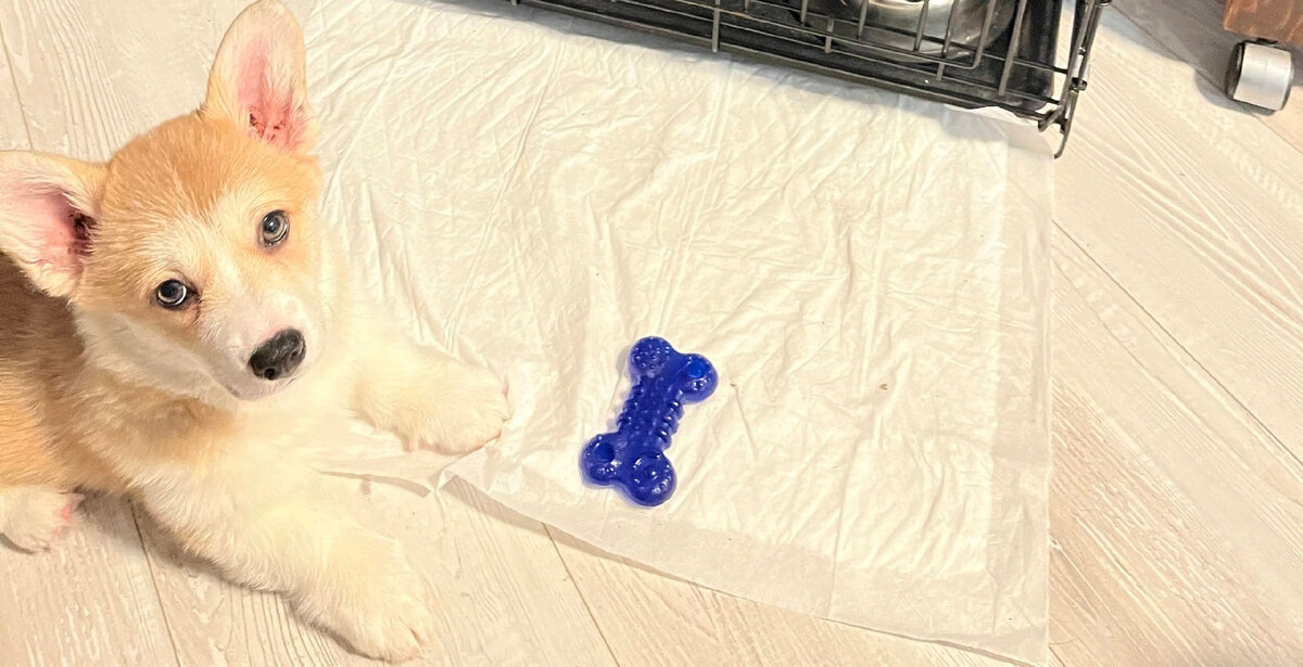 -2-2