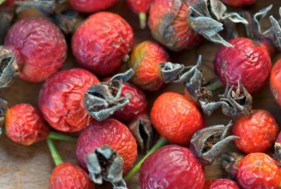 Сушёный шиповник