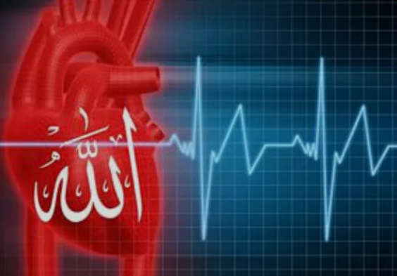 картинка из интернета