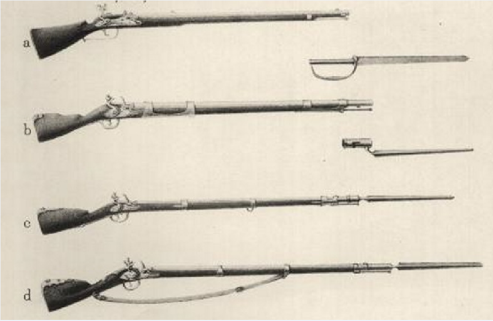 Виды фузей - ружей после реформы Петра. рисунок взят из свободных источников в сети.