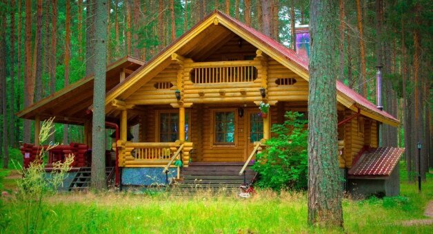 Леса «двойного учета» остаются причиной непрекращающихся конфликтов между гражданами, чиновниками и застройщиками