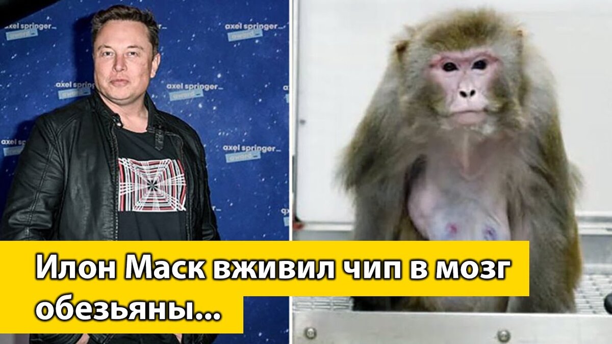 Новость, конечно, интересная!