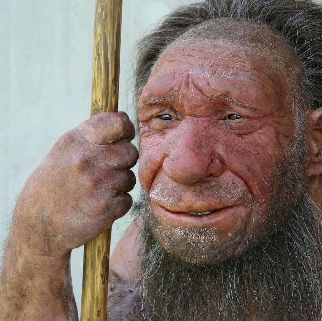 Фото из общедоступных источников