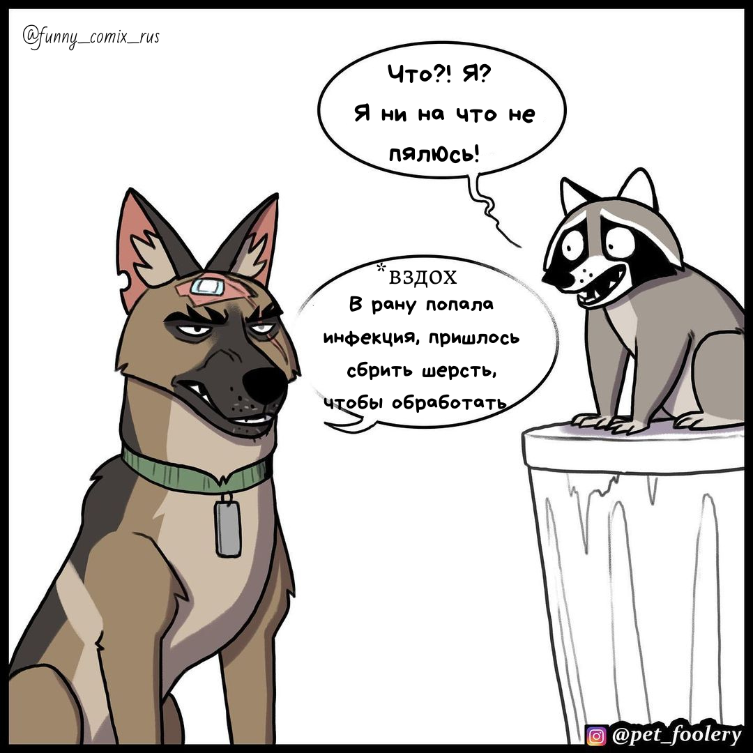 Источник: Instagram @funny_comix_rus