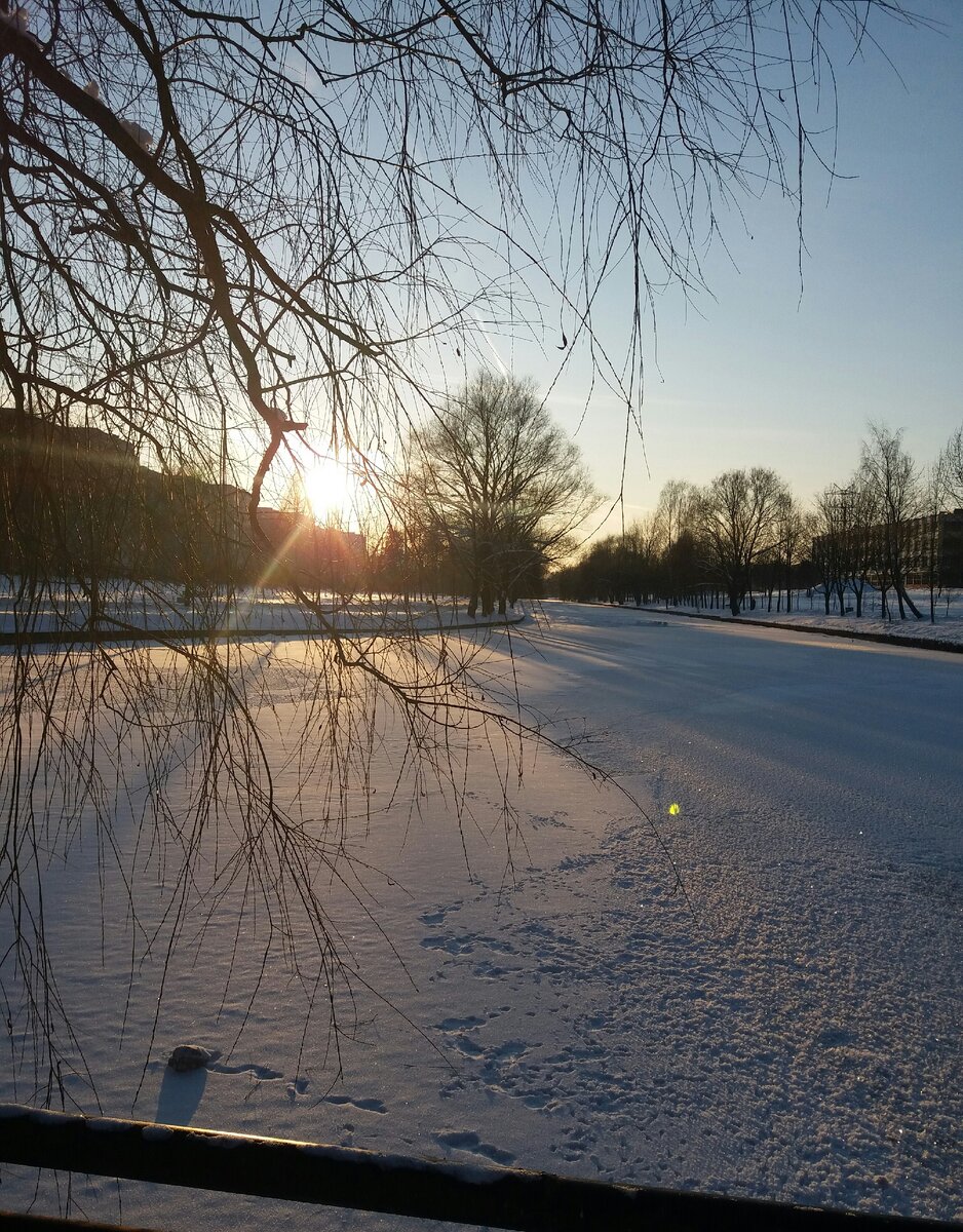 Вон там, справа, на горочке - механический завод им. Вавилова, делает оптику