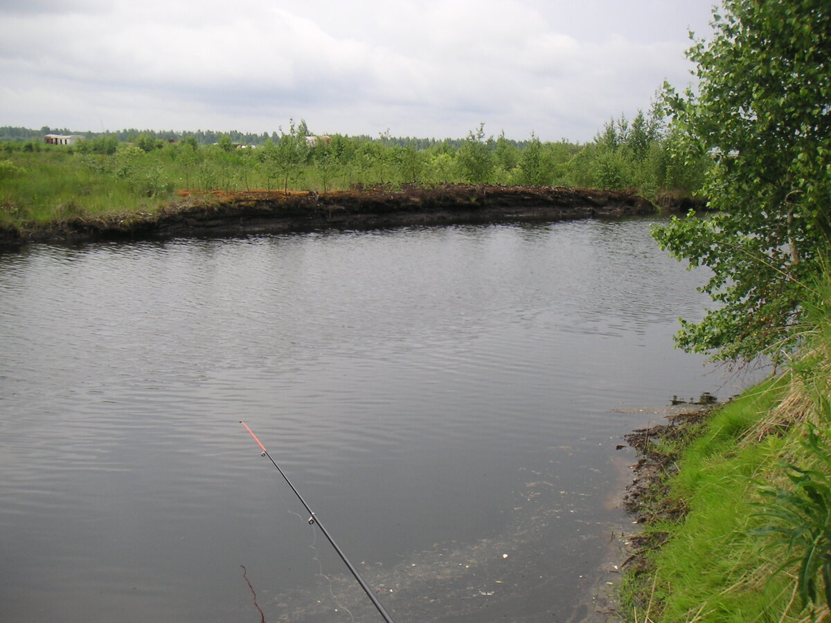 Люблю природу