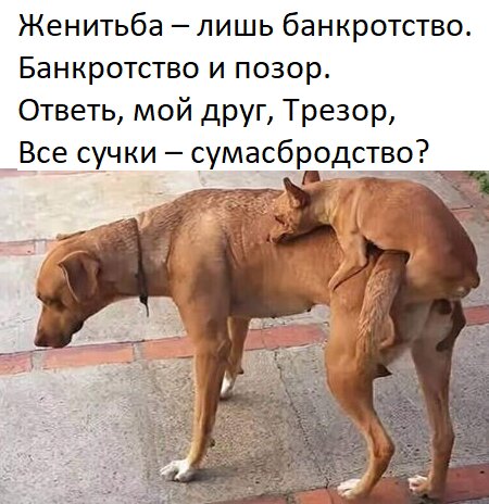 Комиссарики в картинках.