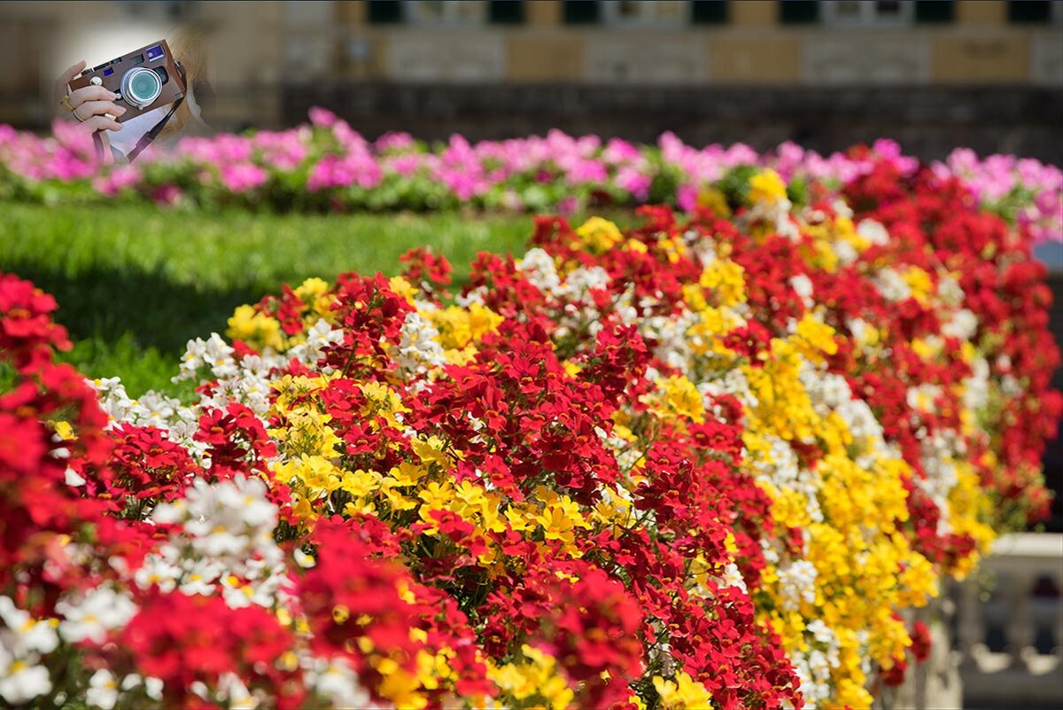  Все фото из личного архива